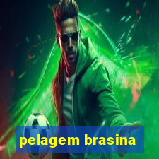 pelagem brasina